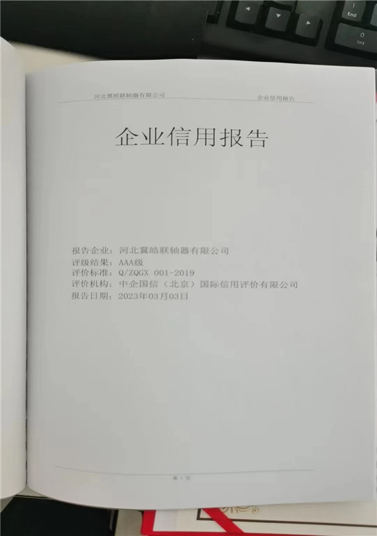 企业信用报告
